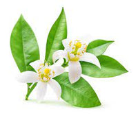 Neroli, la Lumière du Coeur